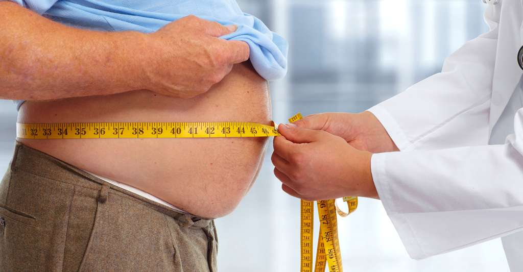 L'excès de graisse est mauvais pour vous